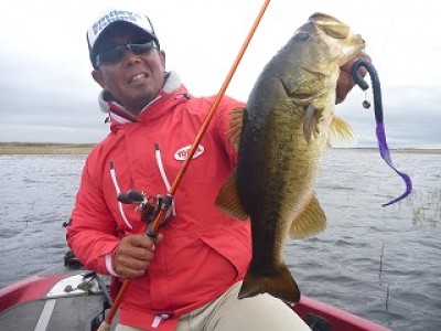 truth news ブログ写真 2013/01/18