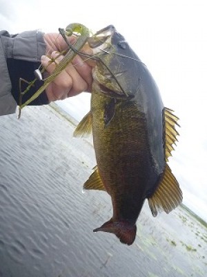 truth news ブログ写真 2013/01/18