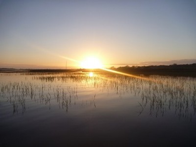 truth news ブログ写真 2013/01/18