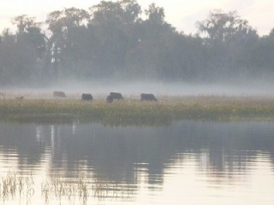 truth news ブログ写真 2013/01/18