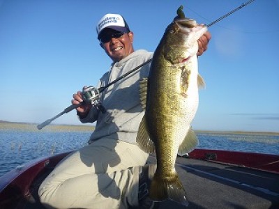 truth news ブログ写真 2013/01/18