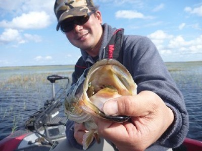 truth news ブログ写真 2013/01/18