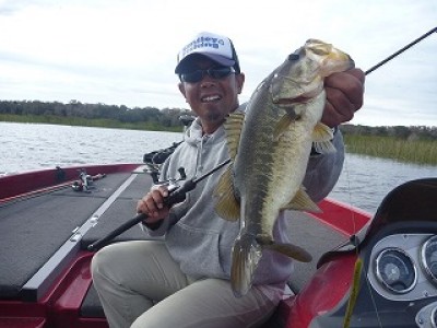 truth news ブログ写真 2013/01/18