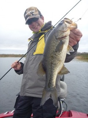 truth news ブログ写真 2013/01/18