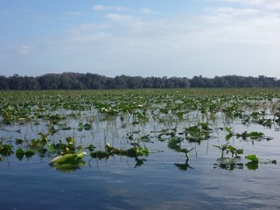 truth news ブログ写真 2013/01/21