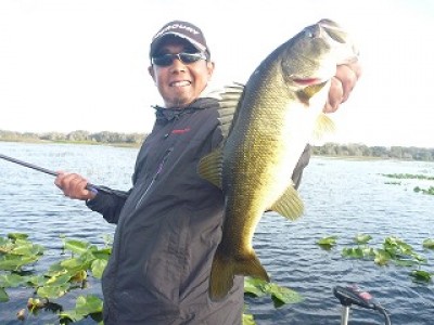 truth news ブログ写真 2013/01/21