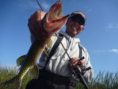 truth news ブログ写真 2013/01/21