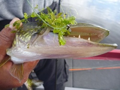 truth news ブログ写真 2013/01/21