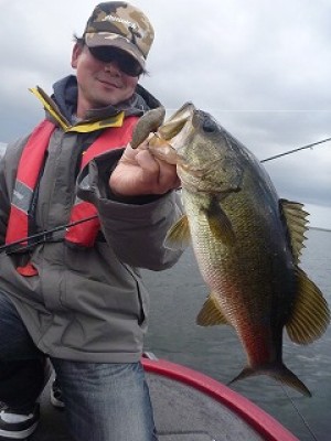 truth news ブログ写真 2013/01/21