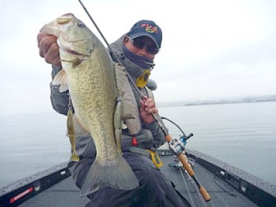 truth news ブログ写真 2013/02/16