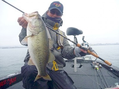 truth news ブログ写真 2013/02/16