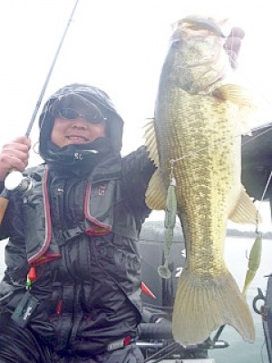 truth news ブログ写真 2013/02/16