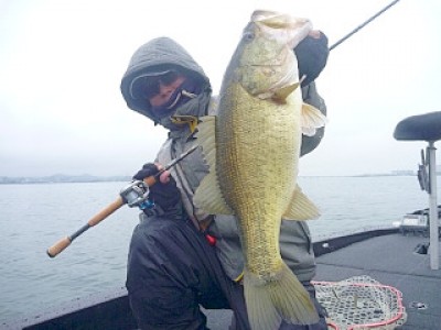 truth news ブログ写真 2013/02/16