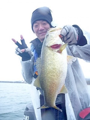 truth news ブログ写真 2013/02/19