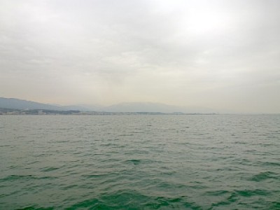 truth news ブログ写真 2013/03/02