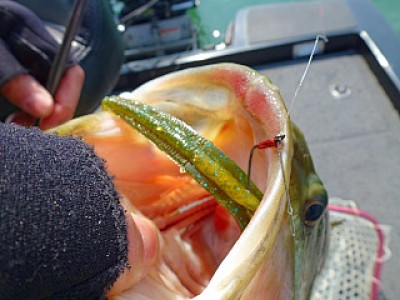 truth news ブログ写真 2013/03/07