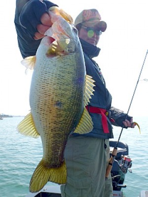 truth news ブログ写真 2013/03/07