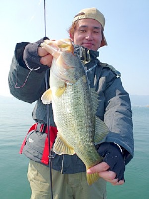 truth news ブログ写真 2013/03/07