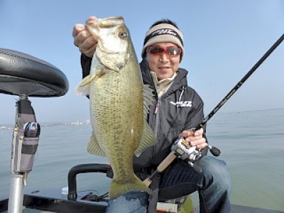 truth news ブログ写真 2013/03/10