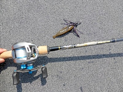 truth news ブログ写真 2013/03/10