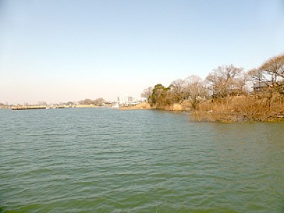 truth news ブログ写真 2013/03/10