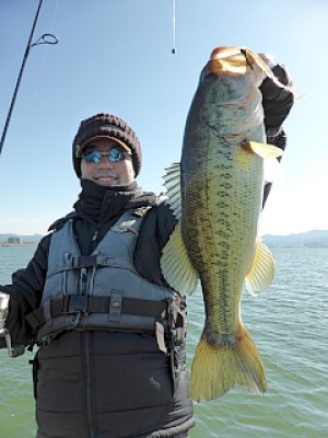 truth news ブログ写真 2013/03/11