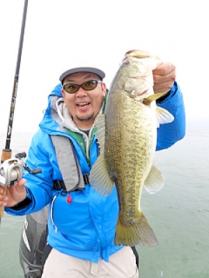 truth news ブログ写真 2013/03/19