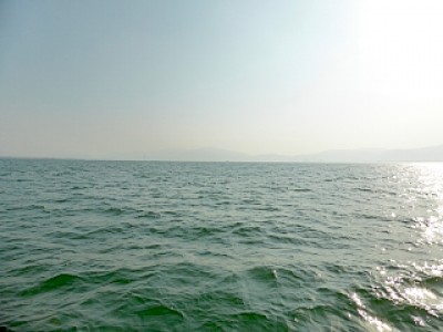 truth news ブログ写真 2013/03/19