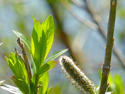 truth news ブログ写真 2013/03/22