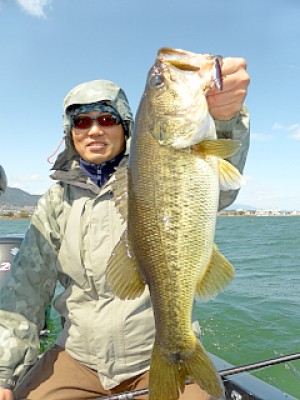 truth news ブログ写真 2013/03/22