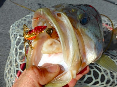 truth news ブログ写真 2013/03/23