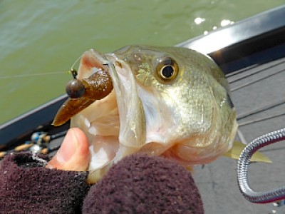 truth news ブログ写真 2013/03/23