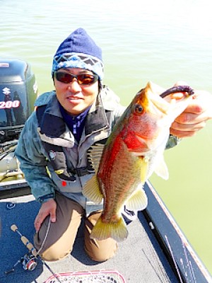 truth news ブログ写真 2013/03/23