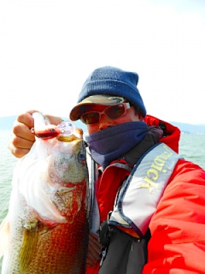 truth news ブログ写真 2013/03/23