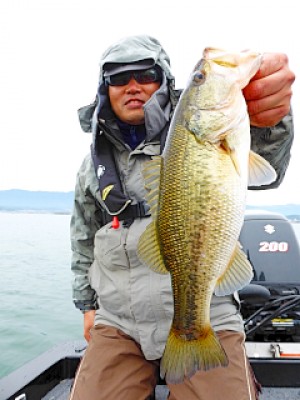 truth news ブログ写真 2013/03/23