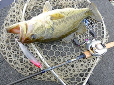 truth news ブログ写真 2013/03/25