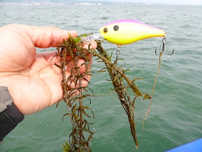 truth news ブログ写真 2013/03/25