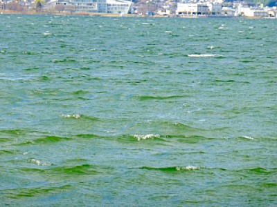 truth news ブログ写真 2013/03/25