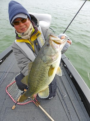 truth news ブログ写真 2013/03/27