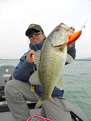 truth news ブログ写真 2013/03/27