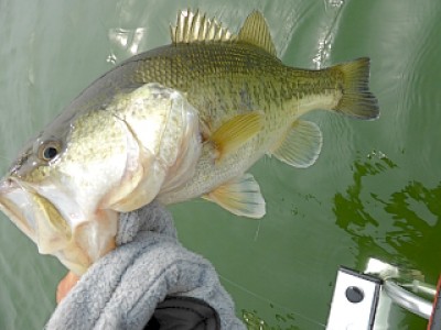 truth news ブログ写真 2013/03/27