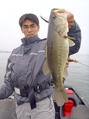 truth news ブログ写真 2013/03/28