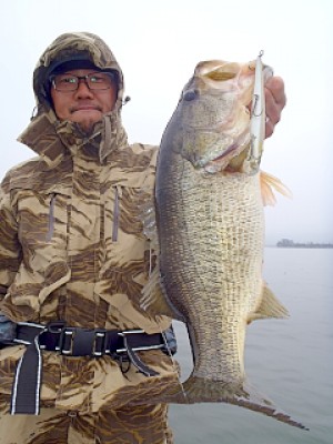 truth news ブログ写真 2013/03/28