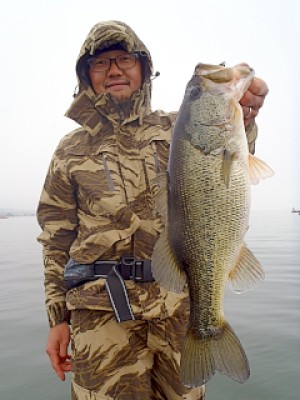 truth news ブログ写真 2013/03/28