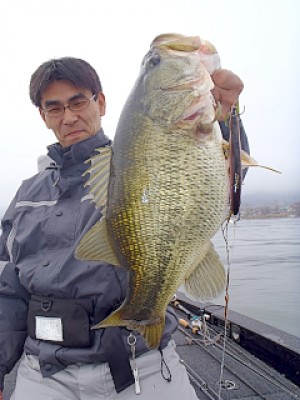 truth news ブログ写真 2013/03/28