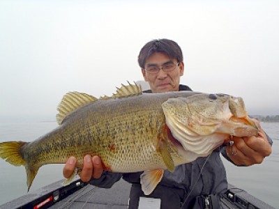 truth news ブログ写真 2013/03/28