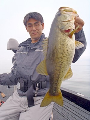 truth news ブログ写真 2013/03/28