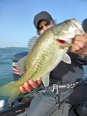 truth news ブログ写真 2013/04/08