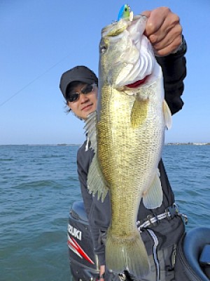 truth news ブログ写真 2013/04/08