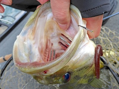 truth news ブログ写真 2013/04/11